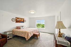 Bedroom featuring carpet floors