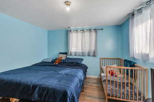 Bedroom featuring multiple windows, wood finished floors, and baseboards