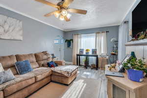 Living room featuring wood finished floors, a textured ceiling, ceiling fan, baseboards, and arched walkways