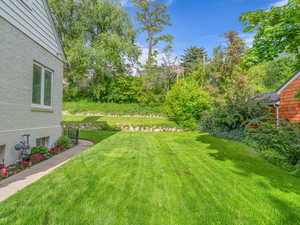 View of grassy yard