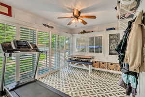 Exercise area with a ceiling fan, crown molding, and healthy amount of natural light