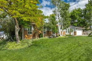 View of grassy yard with an attached garage and concrete driveway