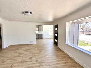 Empty room with ornamental molding, a textured ceiling, light wood-style flooring, plenty of natural light, and baseboards