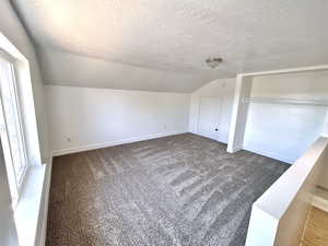 Additional living space featuring vaulted ceiling, a textured ceiling, baseboards, and carpet flooring