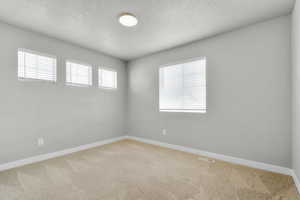 Unfurnished room with light colored carpet, a textured ceiling, and baseboards