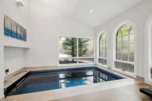 Endless pool