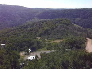 View of mountain background with a forest