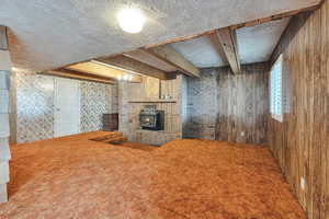 Basement Family Room