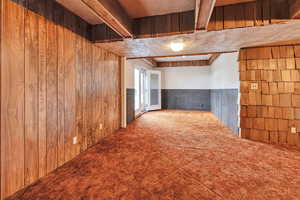 Basement Family or Rec Room