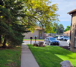 View of grassy yard