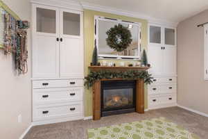 Detailed view of carpet floors, a glass covered fireplace, built in storage
