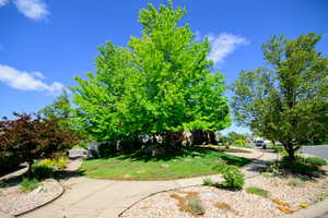 Photo 48 of 2763 N HILLS DR