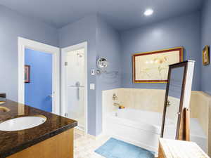Primary Full bathroom featuring a garden tub, a stall shower, double vanity