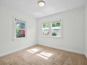 Spare room with plenty of natural light, carpet floors, and baseboards