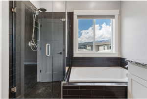 Bathroom with a bath, a stall shower, vanity, and healthy amount of natural light