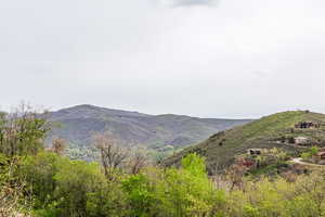Photo 44 of 7189 N HITCHING POST DR
