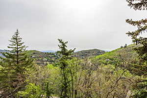 Photo 49 of 7189 N HITCHING POST DR