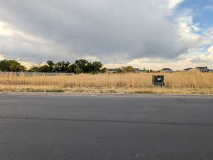 View of asphalt street with curbs