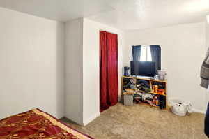 Carpeted bedroom with a textured ceiling