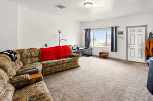 Carpeted living room with a textured ceiling