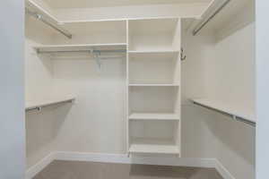 View of walk in closet