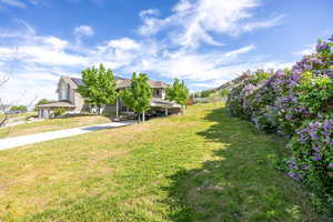 View of grassy yard