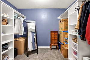 Spacious closet featuring carpet