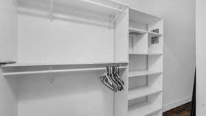 Spacious closet featuring dark wood-style flooring