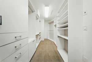 Walk in closet featuring light carpet