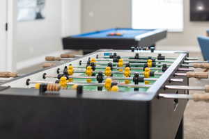 Rec room with carpet