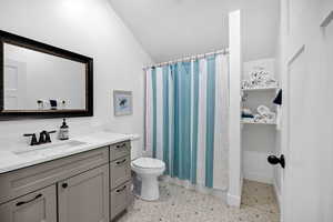 Full bathroom with lofted ceiling, toilet, vanity, and curtained shower