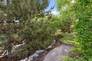 Photo 41 of 377 E 12TH AVE
