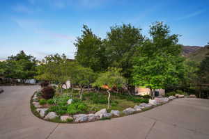 View of home's community