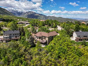 Bird's eye view of mountains