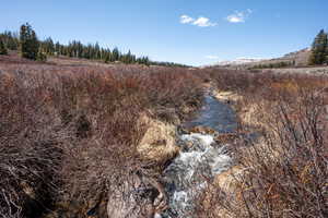 View of undeveloped land