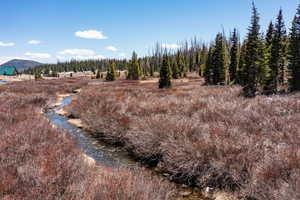 View of undeveloped land featuring a mountainous background