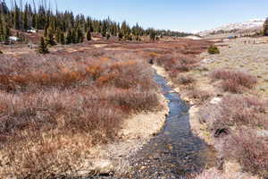 View of local wilderness featuring mountains