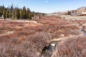 View of yard featuring a mountain view