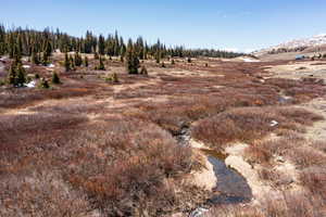 View of yard with a mountain view