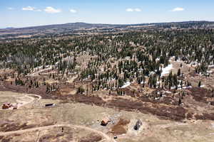 Aerial view of property and surrounding area with a forest