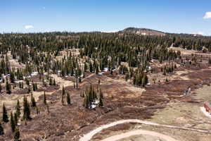 Mountain view featuring a forest