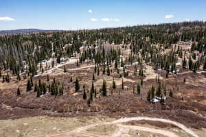 View of property location with a forest
