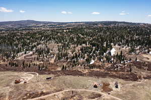 Aerial view of property's location featuring a forest