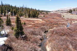 View of yard with a mountain view
