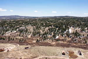 View of mountain background featuring a heavily wooded area