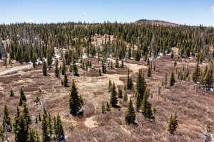 View of mountain backdrop featuring a forest