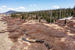 View of mountain background