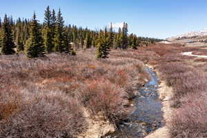 View of undeveloped land