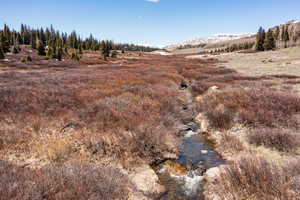 View of yard with a mountain view