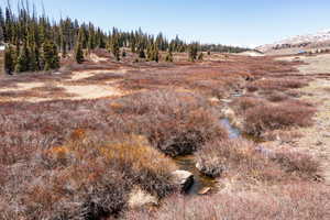View of nature featuring mountains